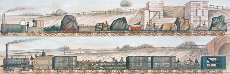 Liverpool und Manchester Eisenbahn: Fracht und Vieh